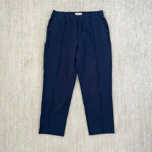 Everlane Blue The Dream Pull On Pants L